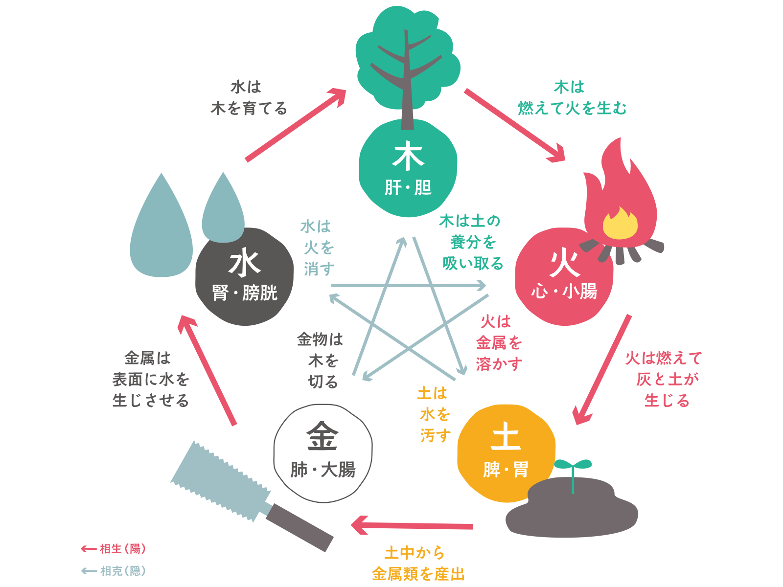 漢方治療 | 大橋こころとねむりのクリニック